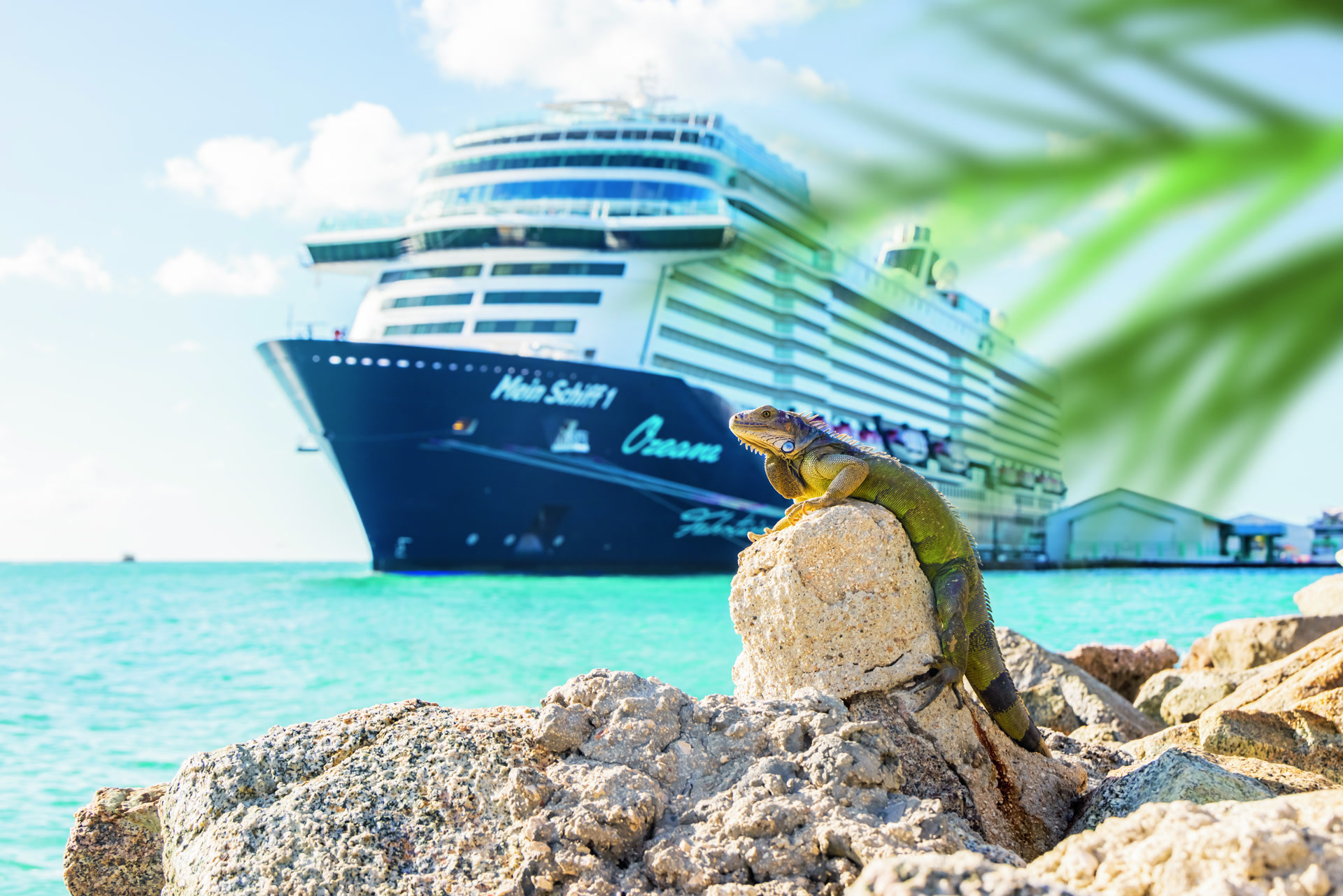 Reisen mit Mein Schiff